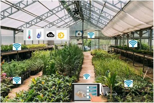 IoT-Enabled Smart Greenhouses