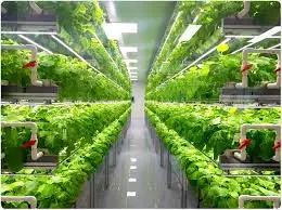 Vertical Farming and AI-Driven Hydroponics