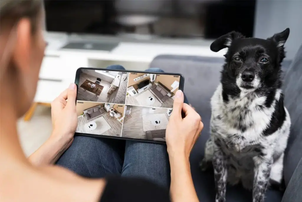 Health Monitoring in pets