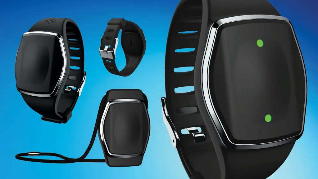 Lively Wearable2