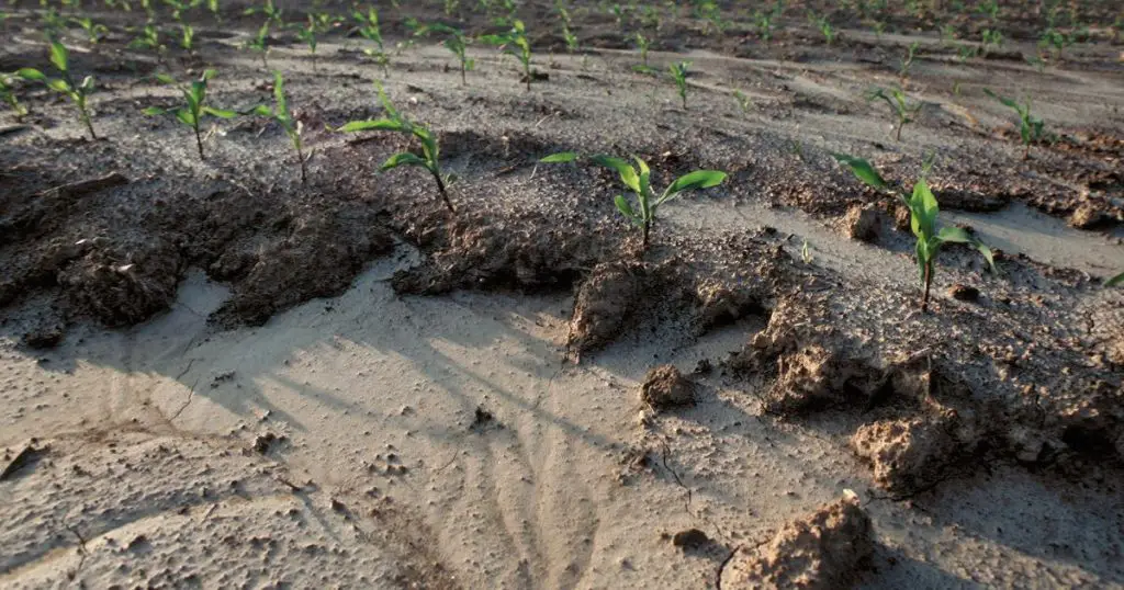 soil erosion effects on agriculture